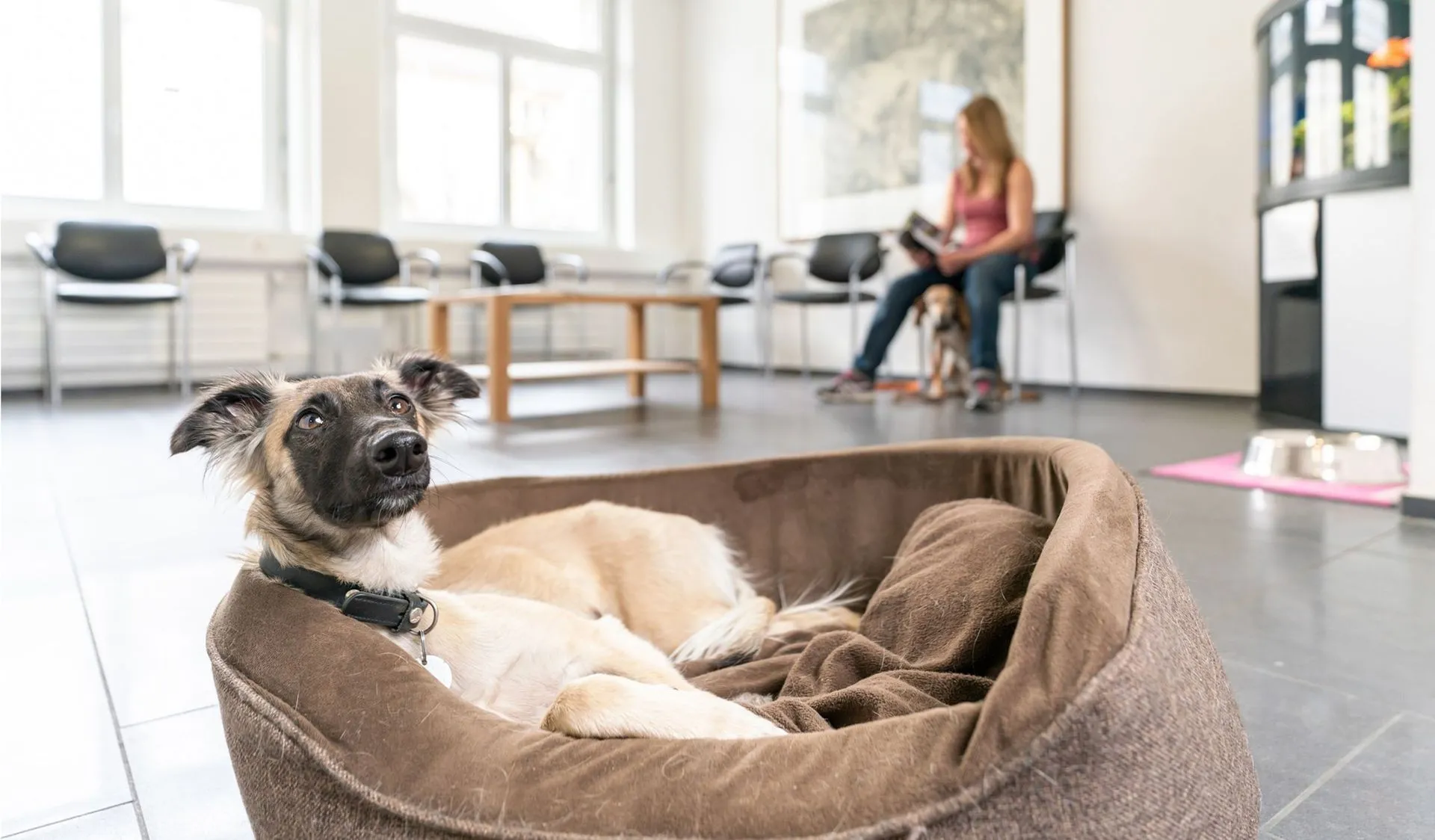 Patient Indi im Körbli