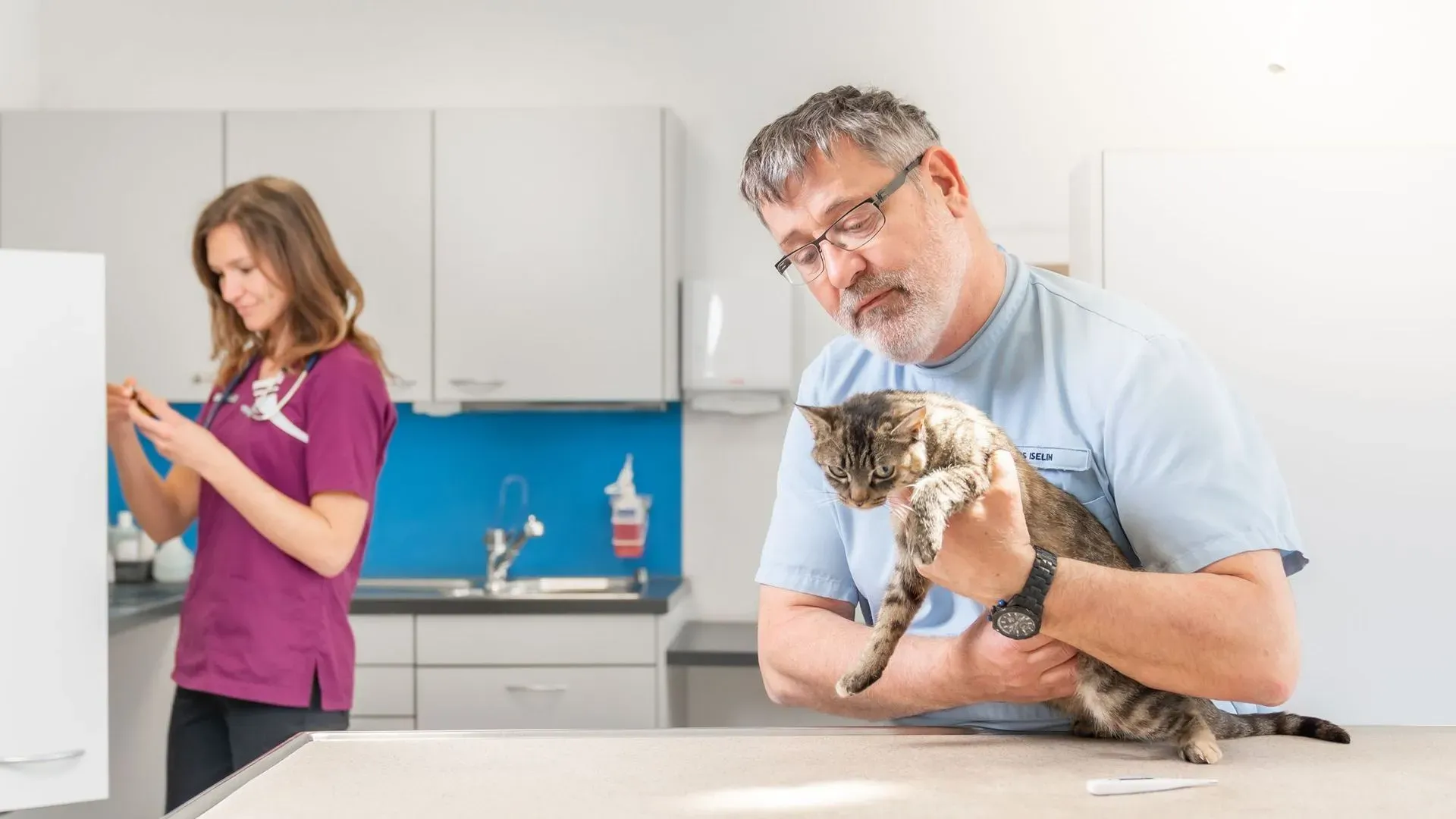 Katze in der Behandlung
